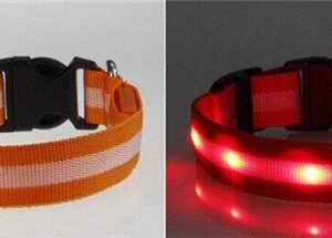 orange lysande led hund halsband
