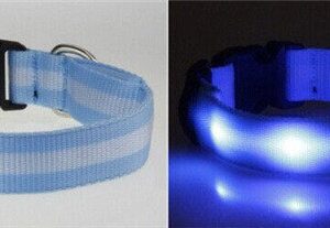 blått lysande led hund halsband
