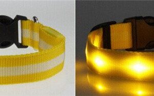gul lysande led hund halsband