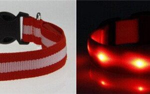 rött lysande led hund halsband