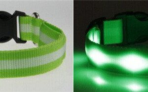 grön lysande led hund halsband
