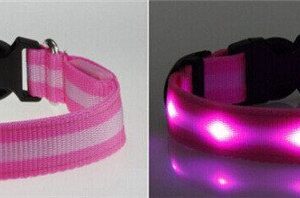 rosa lysande led hund halsband