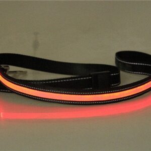 hundkoppel led orange