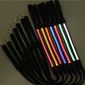 led hundkoppel