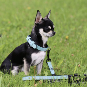 Hundhalsband Reflex - Bild 3