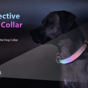 Hundhalsband Reflex - Bild 5