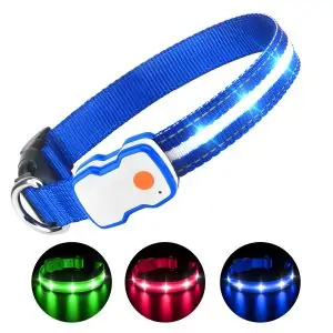 led halsband