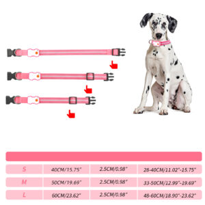 Slitstarkt LED halsband - Bild 10