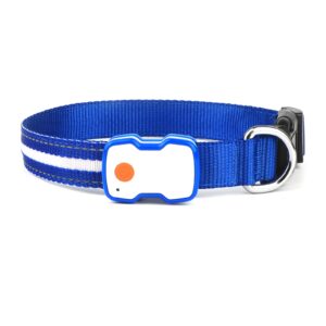 Slitstarkt LED halsband - Bild 12
