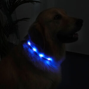 Slitstarkt LED halsband - Bild 7