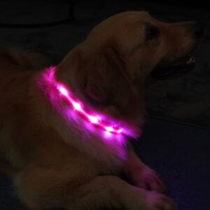 Slitstarkt LED halsband - Bild 8