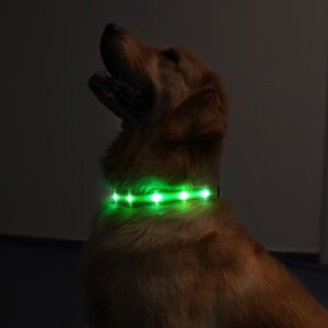 Slitstarkt LED halsband - Bild 9